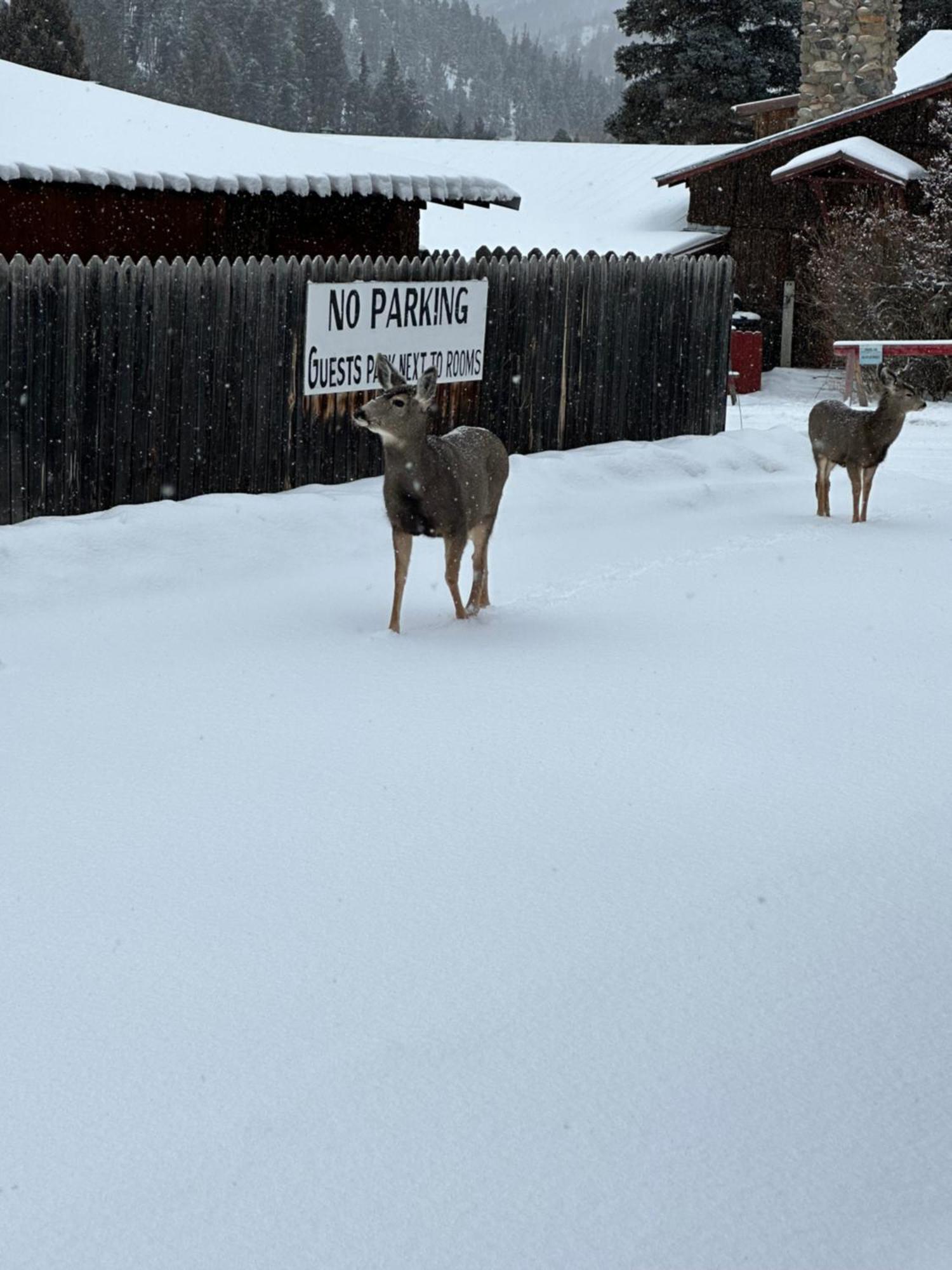 Deer Lodge Red River Luaran gambar