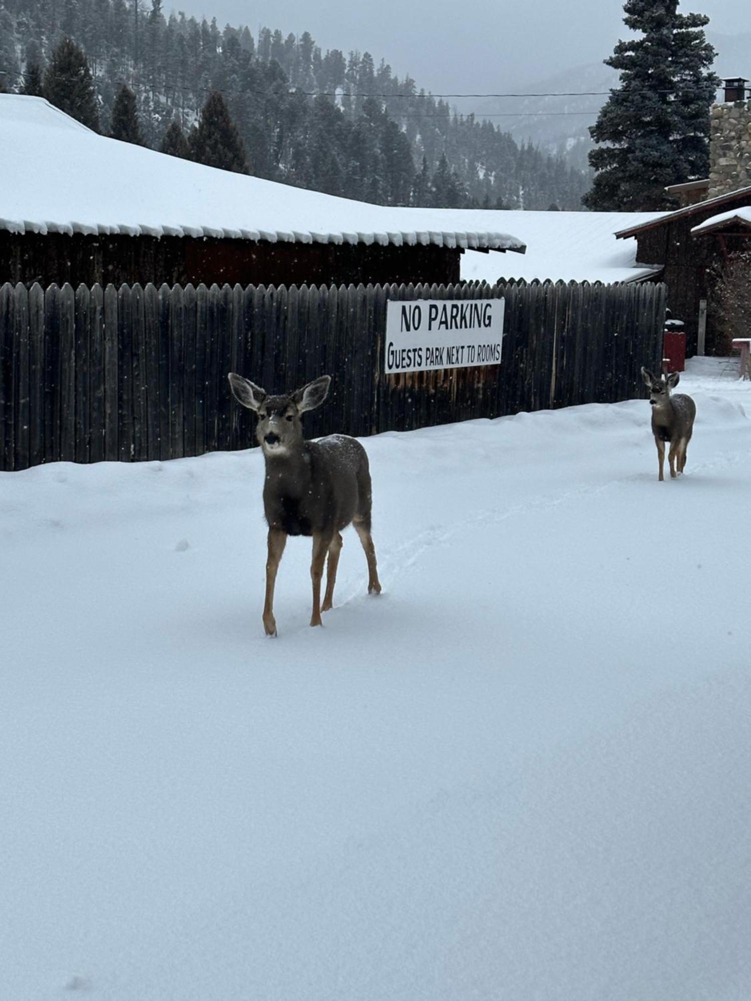 Deer Lodge Red River Luaran gambar